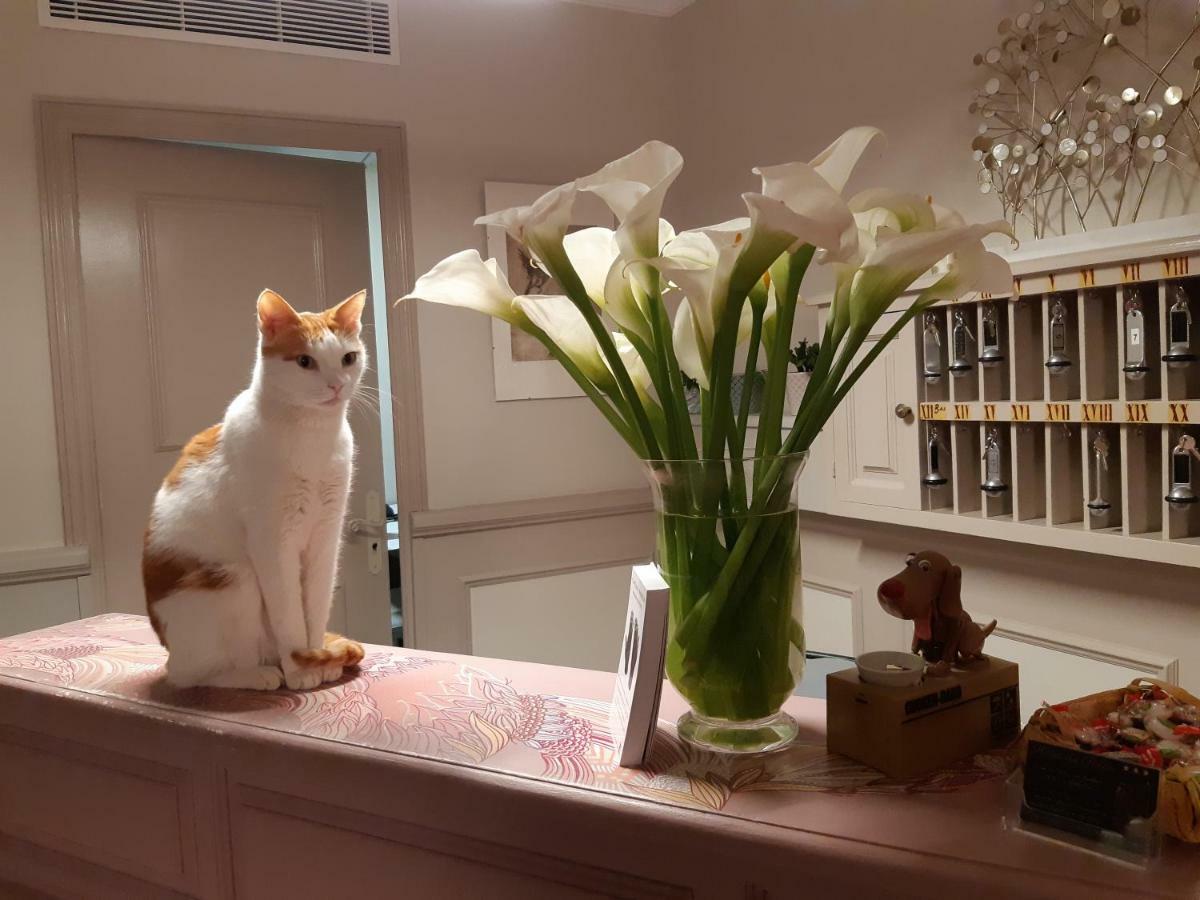 ホテル オテル デュ パレ モンペリエ エクステリア 写真